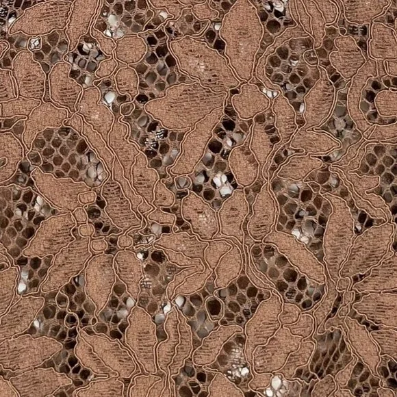 Rag & Bone Yvette Lace Button Down Shirt in Mocha Size 2 - Picture 3 of 4